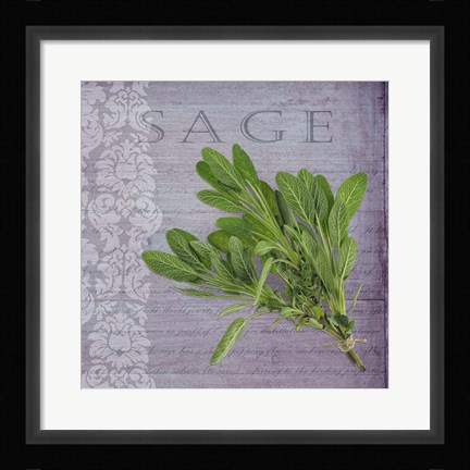 Framed Classic Herbs Sage Print