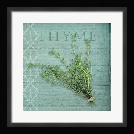 Framed Classic Herbs Thyme Print