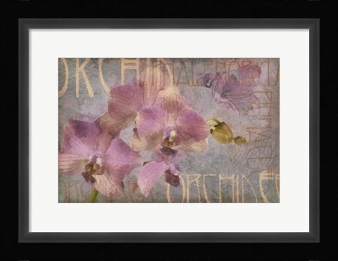Framed Orchid I Print