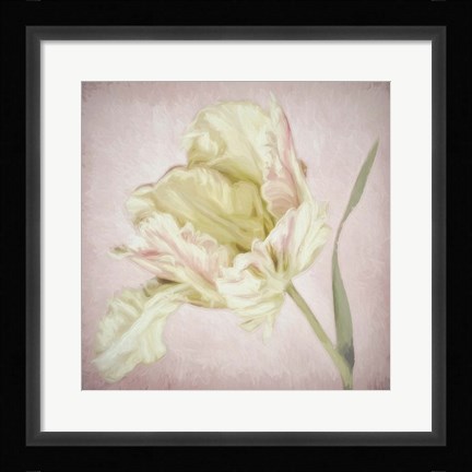 Framed Pink Parrot Tulip Painting I Print