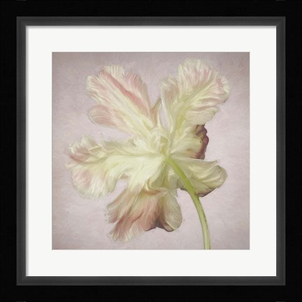 Framed Pink Parrot Tulip Painting II Print