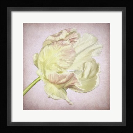 Framed Pink Parrot Tulip Painting III Print