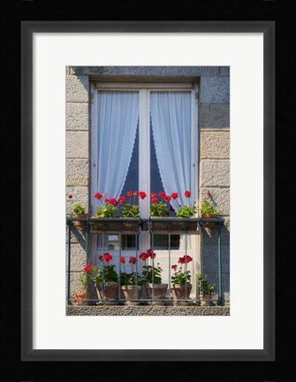 Framed Window With Red Geraniums Print