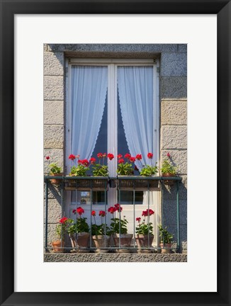Framed Window With Red Geraniums Print