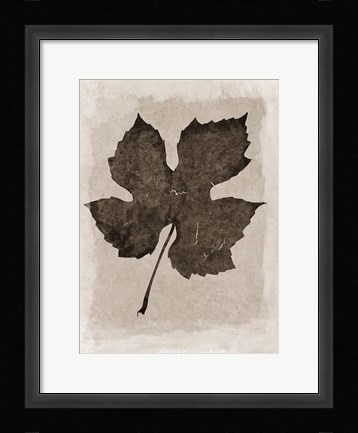 Framed Sepia Grape Leaf Print