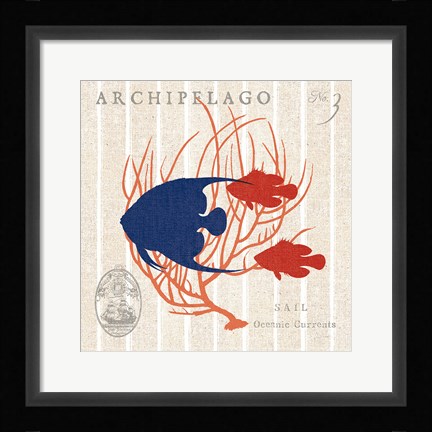 Framed Island Findings IV Fish Print