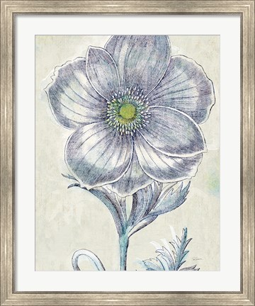 Framed Belle Fleur II Crop Print