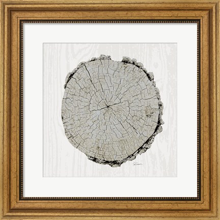 Framed Woodland Years II with Silver v2 Print