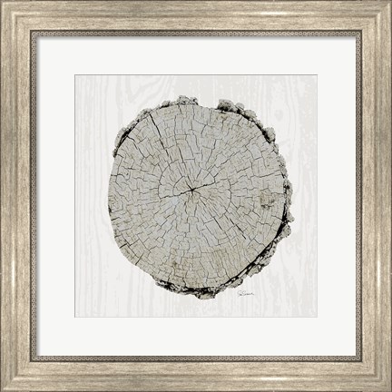Framed Woodland Years II with Silver v2 Print