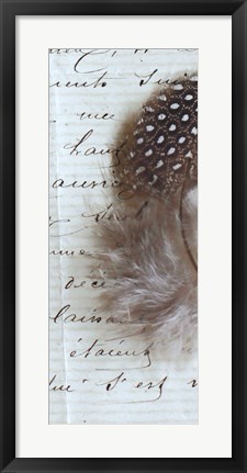 Framed Plume Feathers V Crop II Print