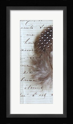 Framed Plume Feathers V Crop II Print