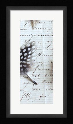 Framed Plume Feathers V Crop I Print