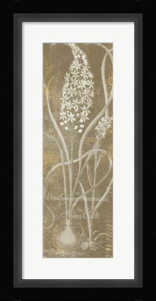 Framed Flower Lines III Print