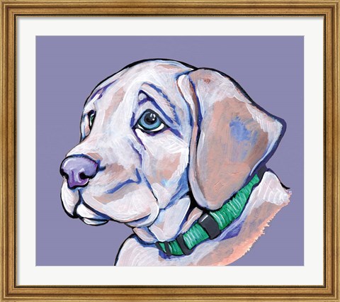 Framed Puppy II Print
