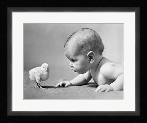 Framed 1930s Human Baby Face To Face With Baby Chick Print