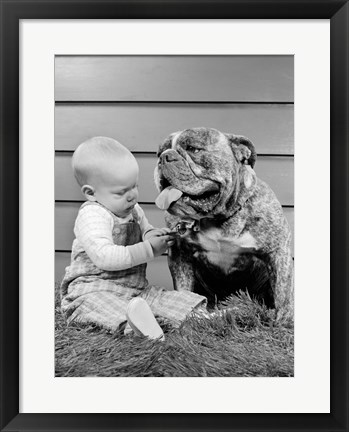 Framed 1950s 1960s Baby Sitting Playing With Bulldog Print