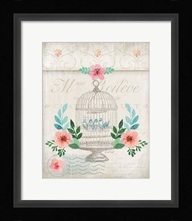 Framed French Spring Birdcage Print