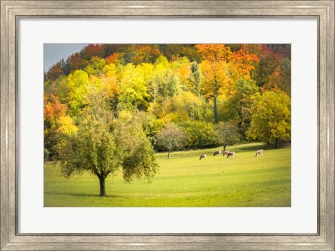 Framed Peaceful Pasture II Print