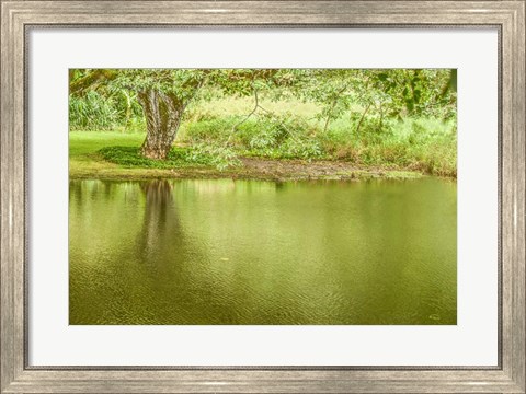 Framed Place of Peace I Print