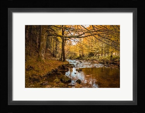 Framed Black Forest River Print