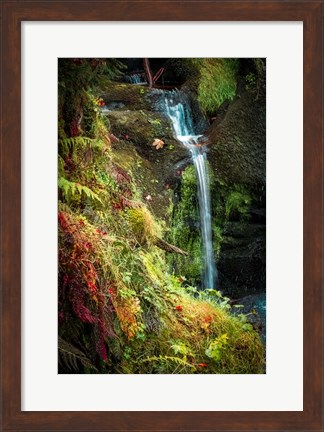 Framed Black Forest Lower Falls Print