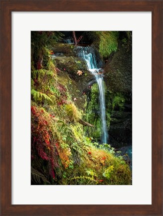 Framed Black Forest Lower Falls Print