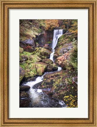 Framed Black Forest Upper Falls Print