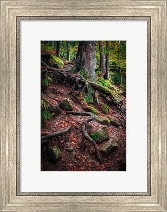 Framed Sentinels Along Our Path Print