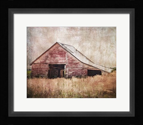 Framed Red Shed Print