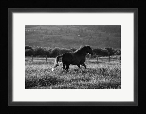 Framed Going Home Print