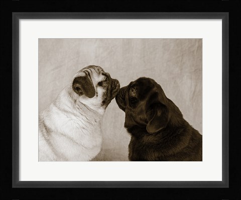Framed Pooch Smooch Print