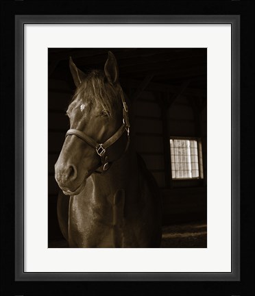 Framed Out of the Shadows Print