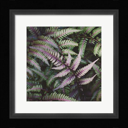Framed Funky Ferns VI Print