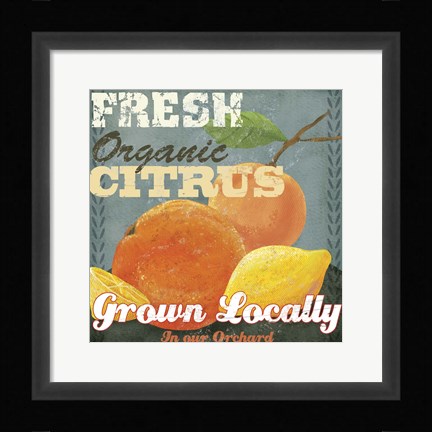 Framed Citrus Print
