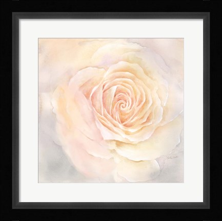 Framed Blush Rose Closeup III Print