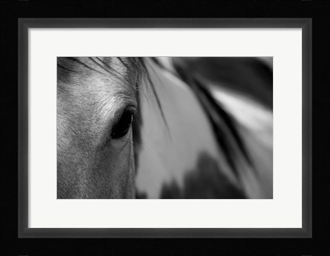 Framed One Eye Print