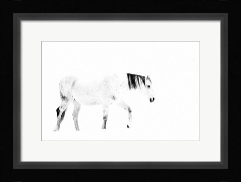 Framed Equine Print