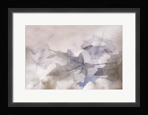 Framed Shadow Leaves Print