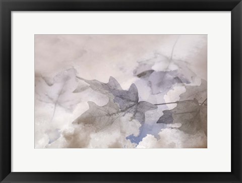 Framed Shadow Leaves Print