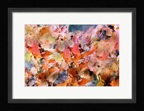 Framed Fall's Folly Print