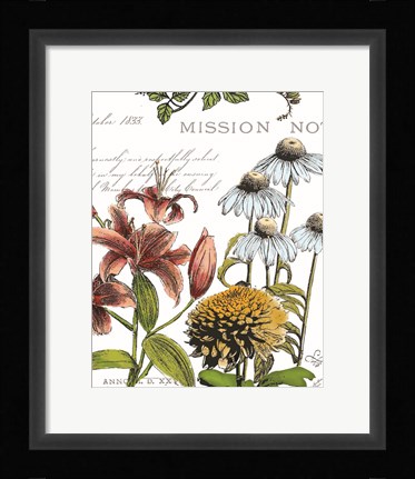 Framed Botanical Postcard Color II Print