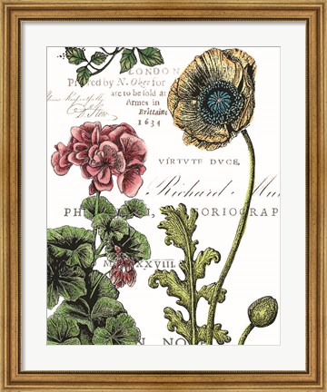 Framed Botanical Postcard Color III Print