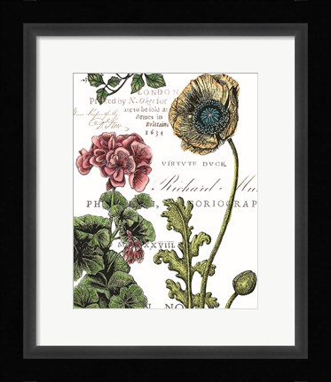 Framed Botanical Postcard Color III Print