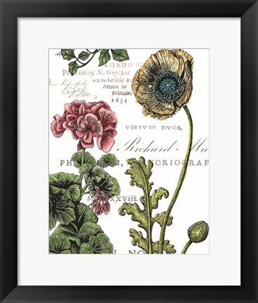 Framed Botanical Postcard Color III Print