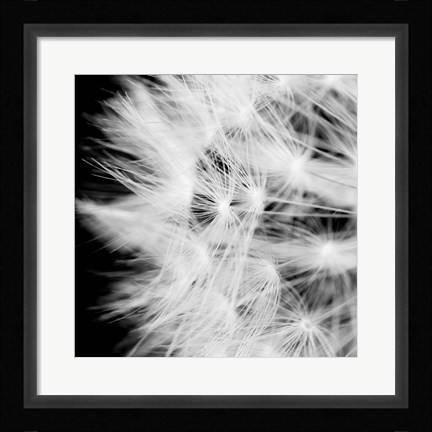 Framed Wish Flower III Print