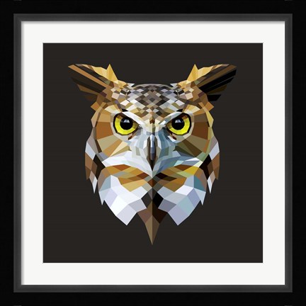 Framed Owl Print