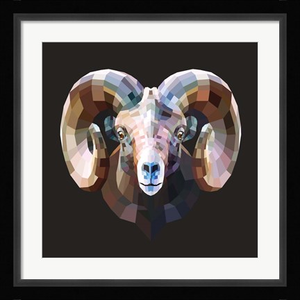 Framed Ram Print