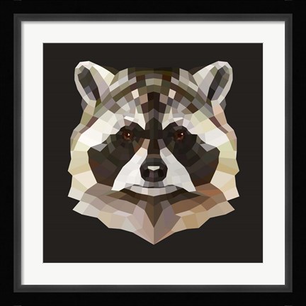 Framed Raccoon Print