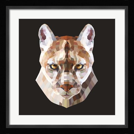 Framed Mountain Lion Print