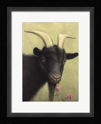 Framed Black Goat Enjoying a Pink Flower Print
